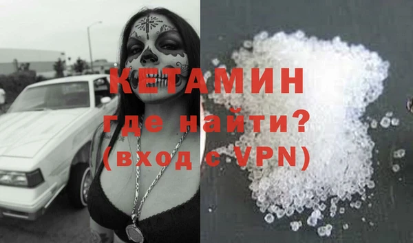 прущие грибы Аркадак