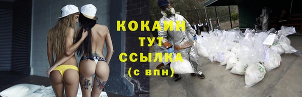 прущие грибы Аркадак