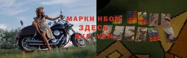 прущие грибы Аркадак