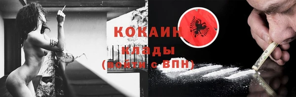 прущие грибы Аркадак