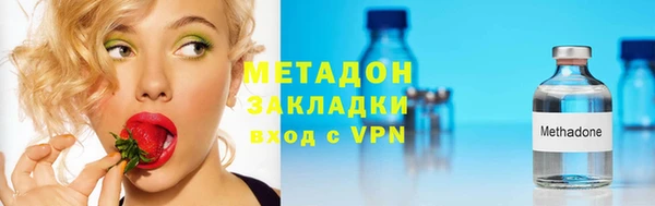 прущие грибы Аркадак