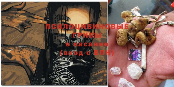 марки nbome Арсеньев