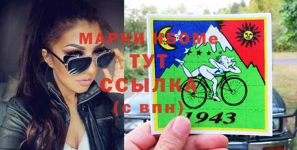 прущие грибы Аркадак