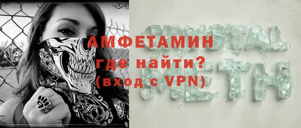 прущие грибы Аркадак