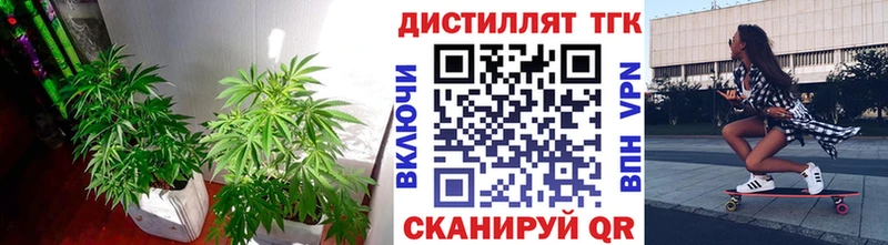 Дистиллят ТГК жижа  Нефтекумск 