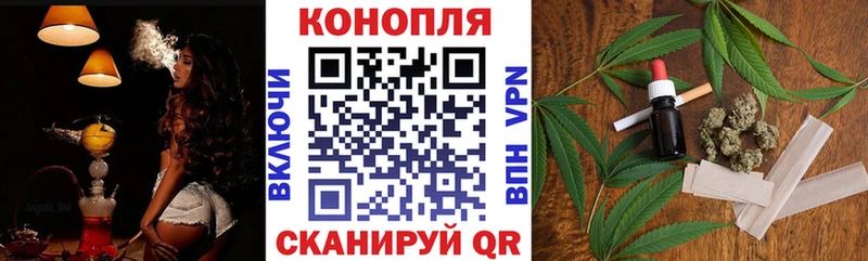 где можно купить наркотик  Нефтекумск  Конопля семена 